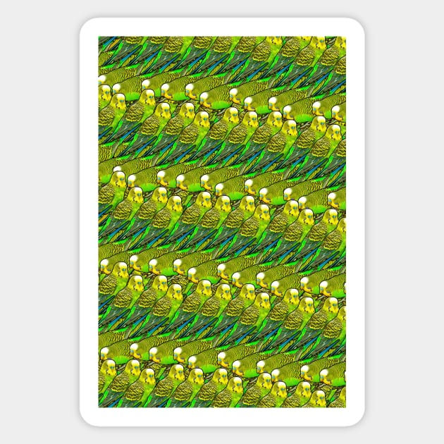 Budgie Wave Funny Pattern Sticker by BirdNerd